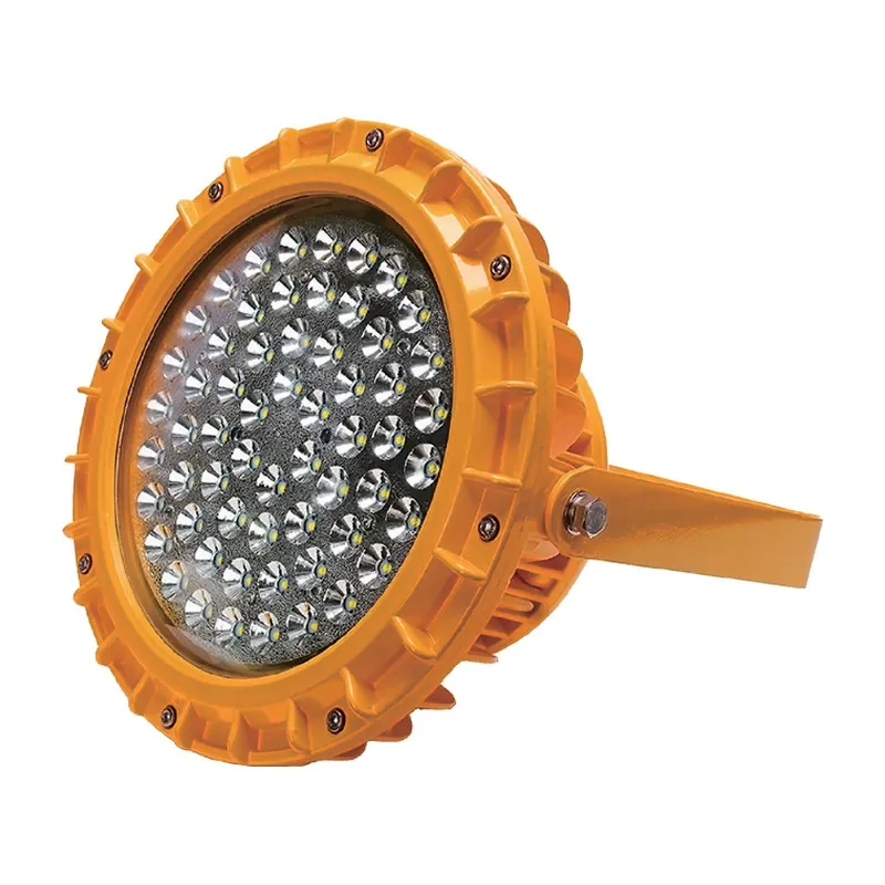 Explosion-Proof Round LED Light 20–70 W, BDE507 — view 2