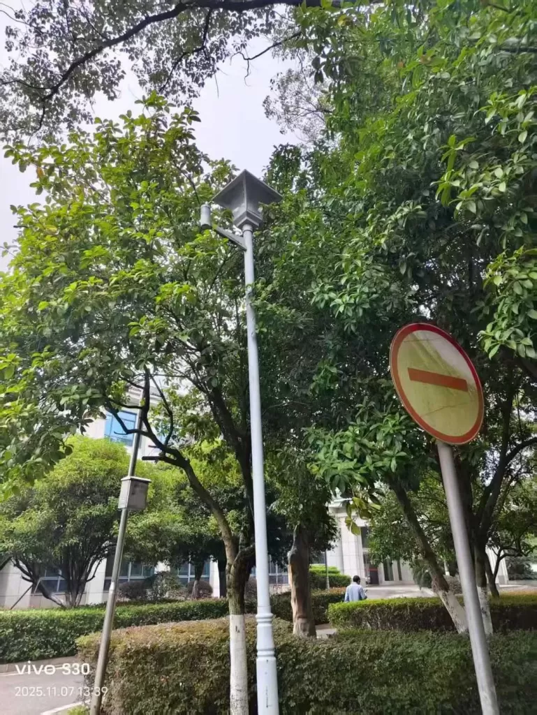 Garden lights in front of an administrative building